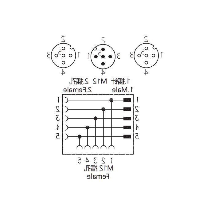 M12 5Pin female/M12 5Pin male+M12 5Pin female、Y-connector、644443